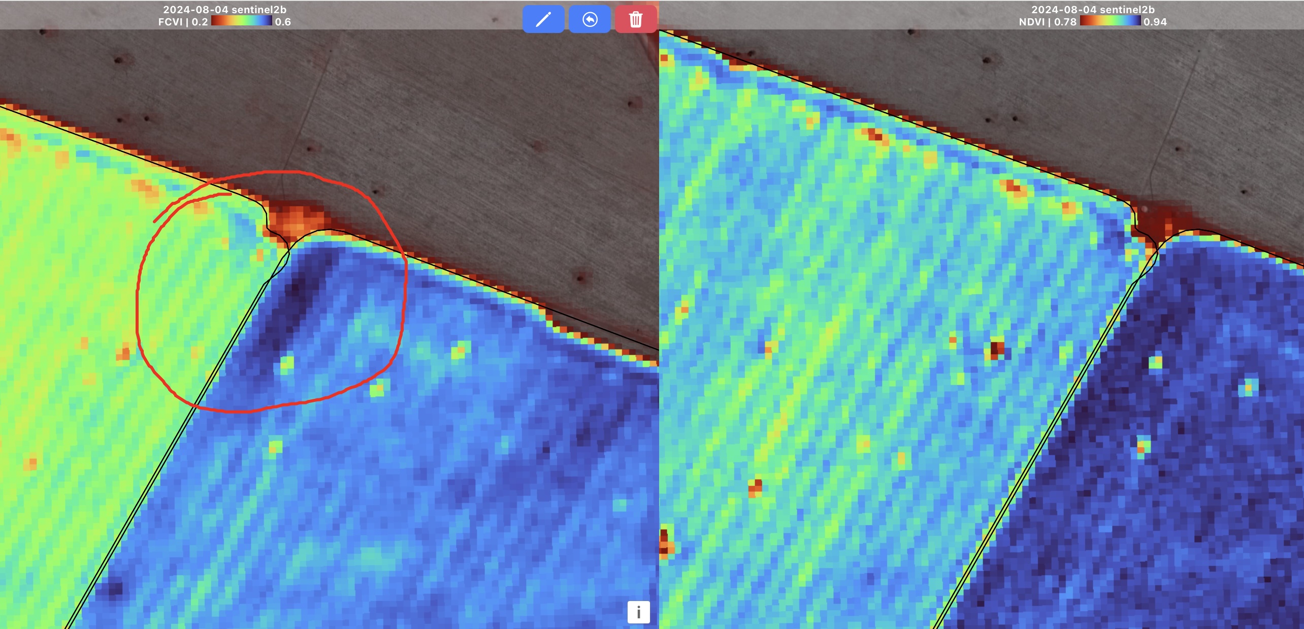FCVI example in wheat crops