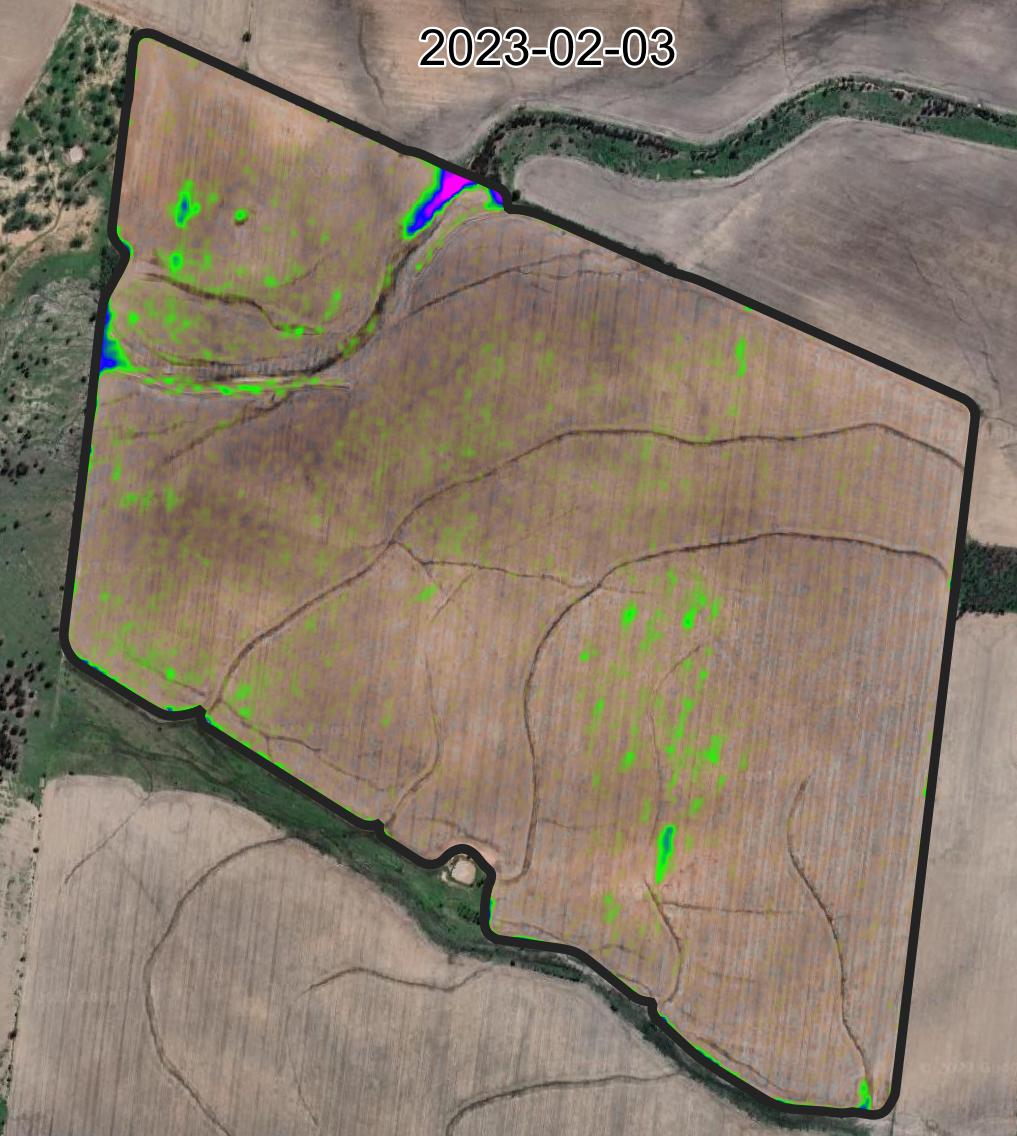 MCARI2 imagery after glyphosate application on 2023-02-03 over Google Maps background