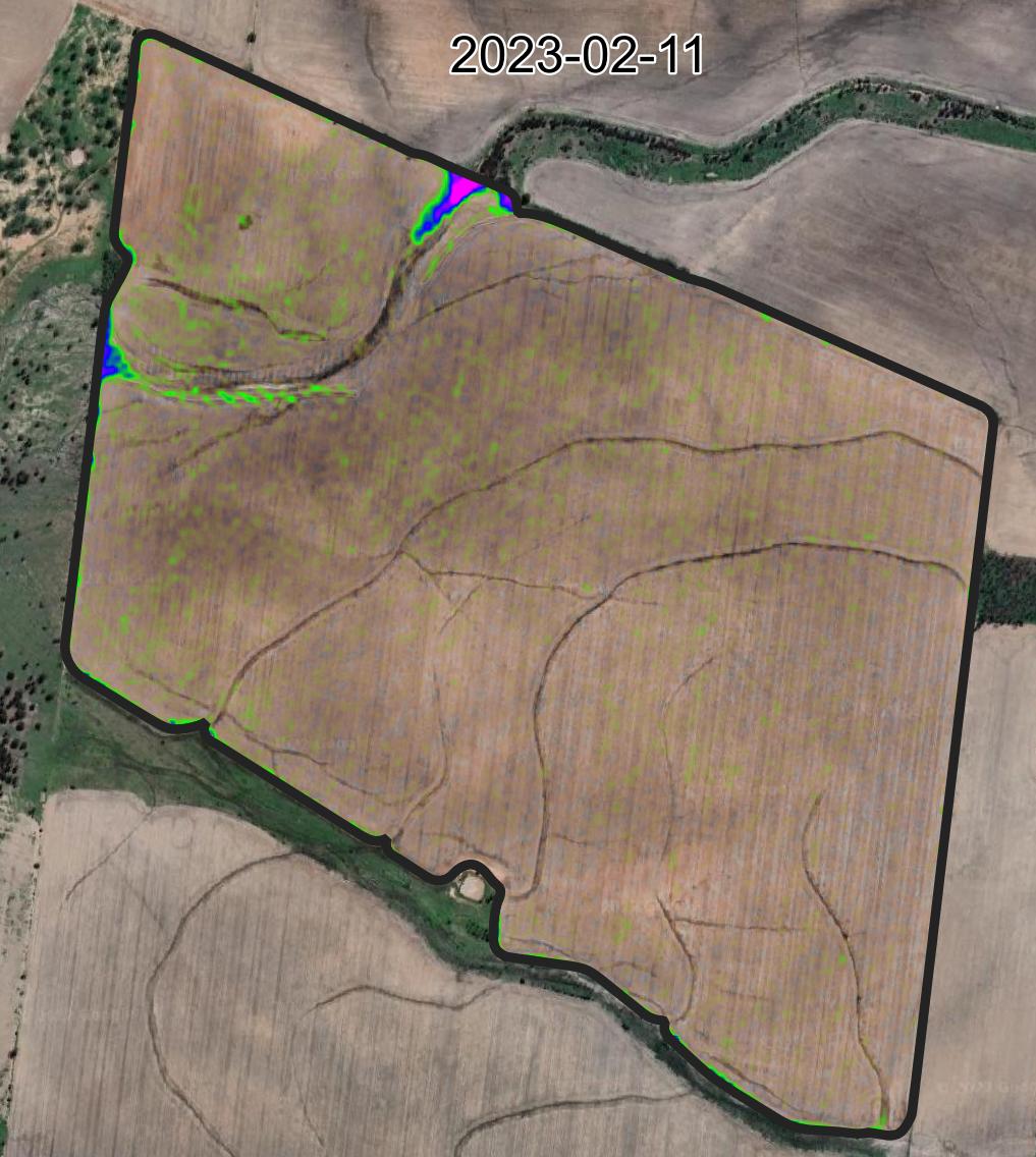 Final MCARI2 imagery of cleaned paddock on 2023-02-11 over Google Maps background
